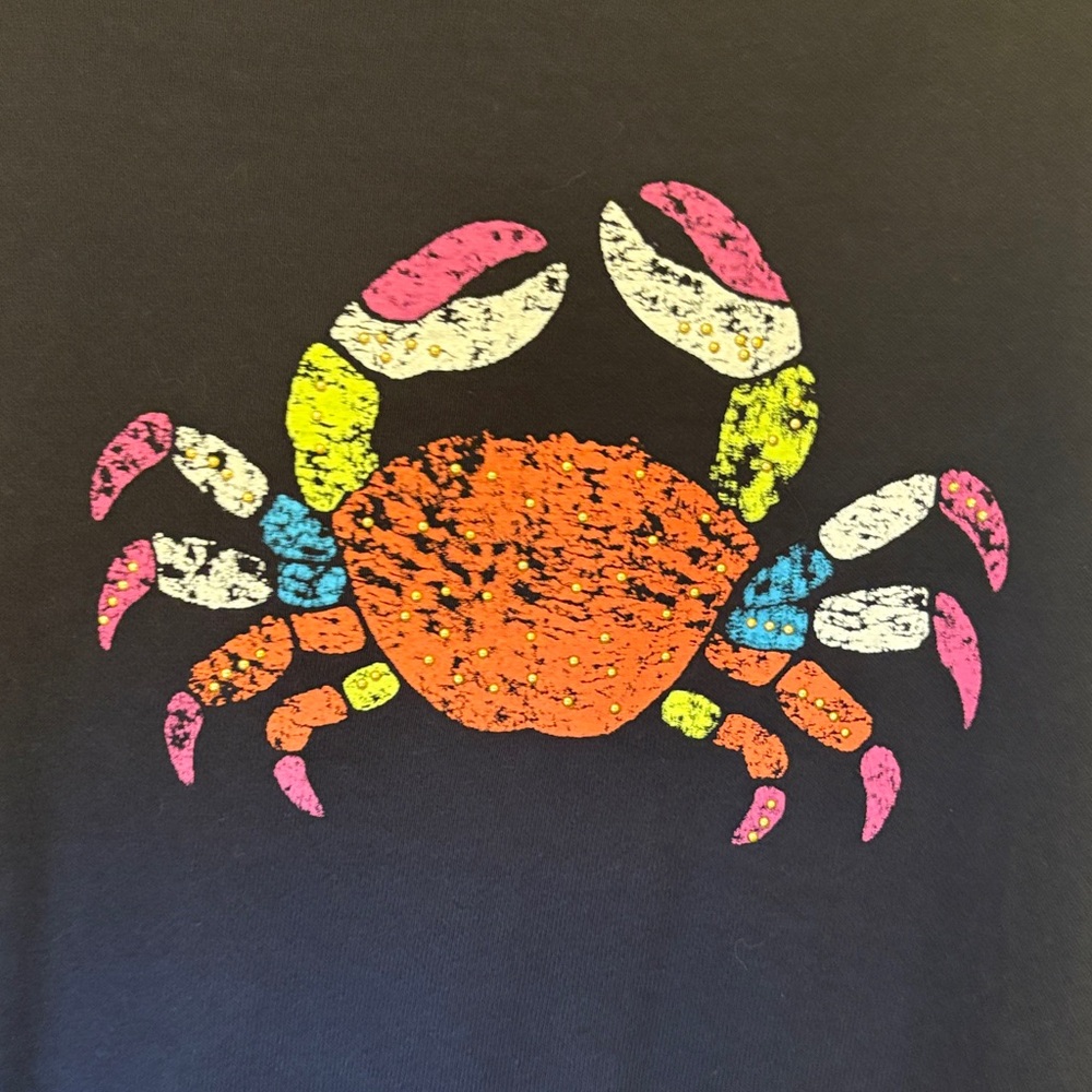 Crown & Ivy Navy Sweater with Colorful Crab and Striped Sleeves - Picture 4 of 9